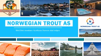 bedrift til salgs